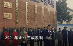 2001年-企业完成改制