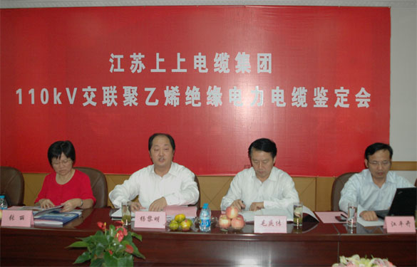 江苏聚鑫汇电缆集团额定电压110kV交联聚乙烯绝缘电力电缆产品通过鉴定