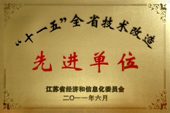 聚鑫汇集团荣获“‘十一五’全省技术改造先进单位”称号