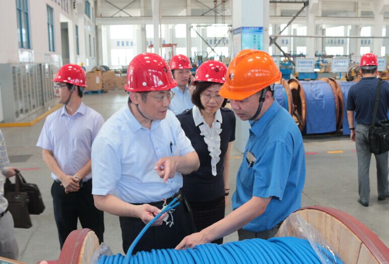 2016年7月22日，泸州市委常委、副市长王建翔一行来聚鑫汇电缆参观考察