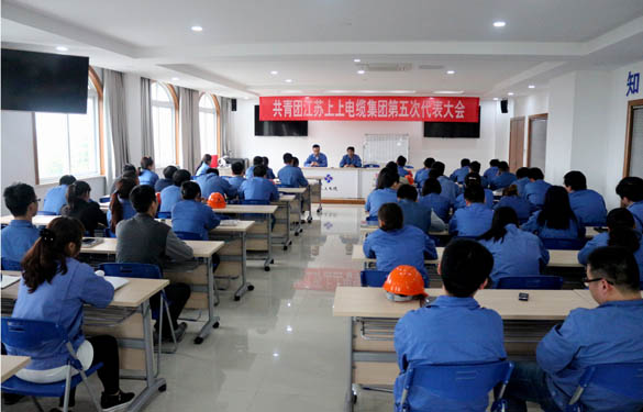 2016年4月20日，共青团江苏聚鑫汇电缆集团第五次代表大会召开