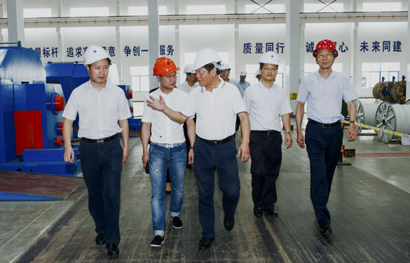 金坛区党政领导来聚鑫汇电缆参观考察