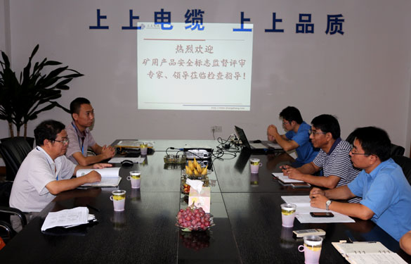 江苏聚鑫汇电缆集团顺利通过安标现场监督评审