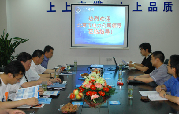 北京市电力公司领导来聚鑫汇集团参观考察