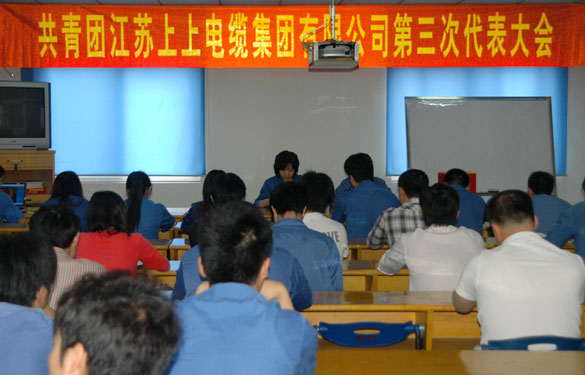 共青团江苏聚鑫汇电缆集团第三届代表大会暨换届选举大会胜利召开