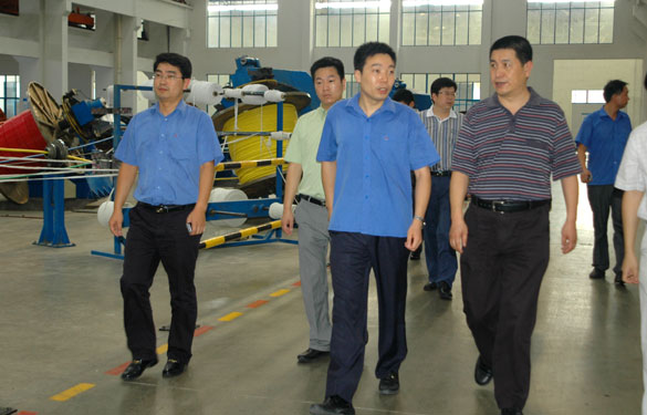 淮南市王市长一行来江苏聚鑫汇电缆集团参观考察