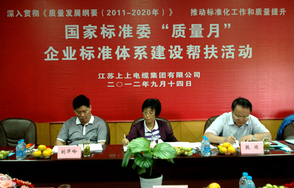国标委“质量月”专家组到江苏聚鑫汇电缆集团检查指导工作