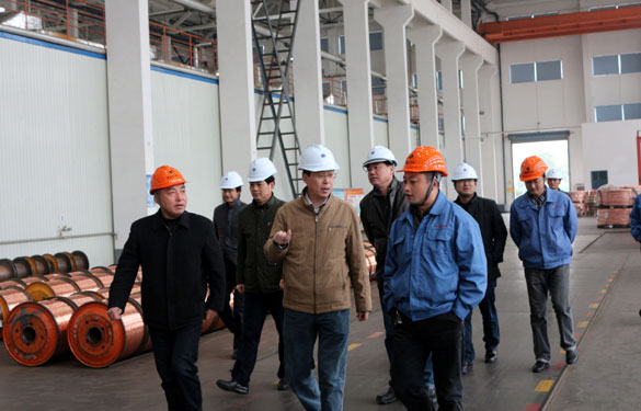 12月11日，溧阳经信局领导一行调研聚鑫汇电缆西厂区三期工程建设情况并参观超高压生产基地