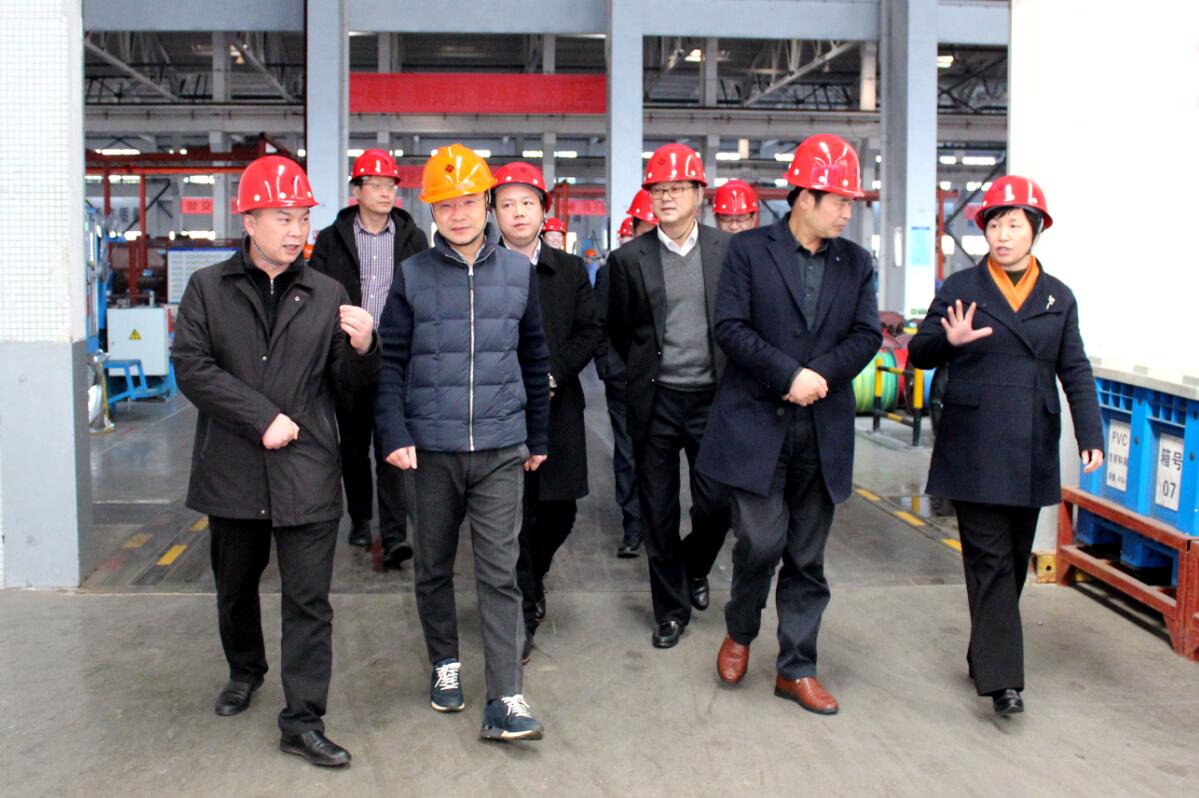 2019年3月7日，广安市岳池县考察团来聚鑫汇电缆参观考察