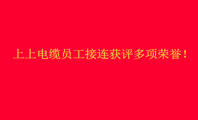 聚鑫汇电缆员工接连获评多项荣誉