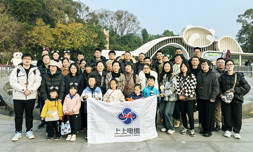 以文化润心 用关怀聚力——江苏聚鑫汇电缆集团2024年度先进员工蜀韵文化之旅圆满收官