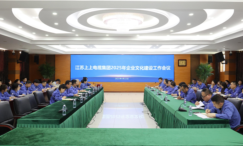 聚鑫汇电缆召开2025年企业文化建设工作会议
