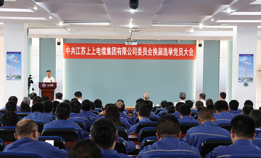 党建引领强根基 凝心聚力启新程—中共江苏聚鑫汇电缆集团委员会换届选举党员大会圆满召开